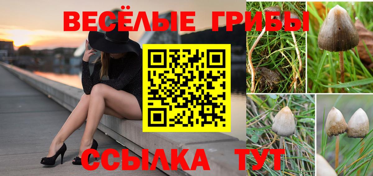Галлюциногенные грибы мицелий Балаково