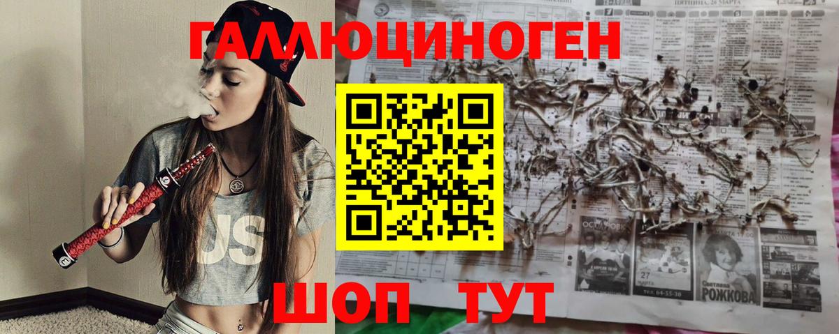 Галлюциногенные грибы MAGIC MUSHROOMS  Вход с VPN  Балаково 