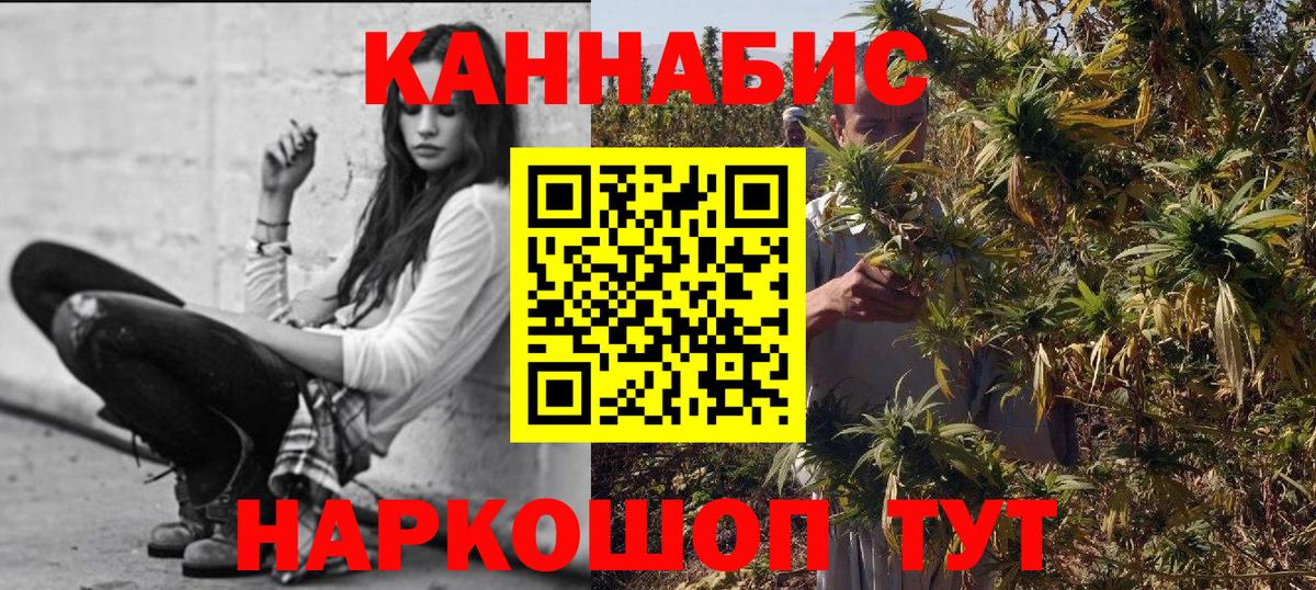 Конопля White Widow  Каннабис индика  Шишки марихуана план  Балаково  Вход с VPN 